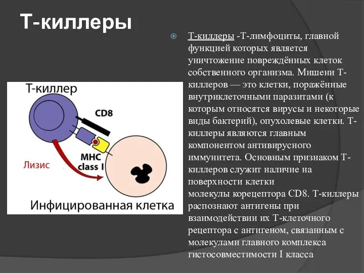 Т-киллеры Т-киллеры -Т-лимфоциты, главной функцией которых является уничтожение повреждённых клеток собственного