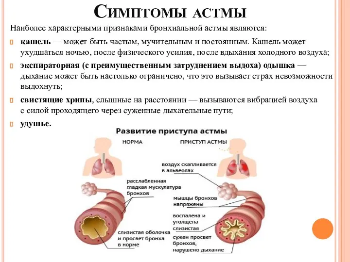 Симптомы астмы Наиболее характерными признаками бронхиальной астмы являются: кашель — может