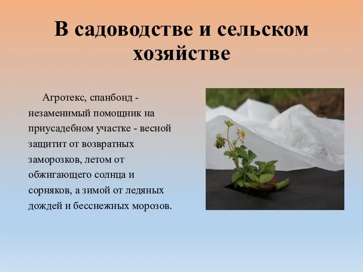 В садоводстве и сельском хозяйстве Агротекс, спанбонд - незаменимый помощник на