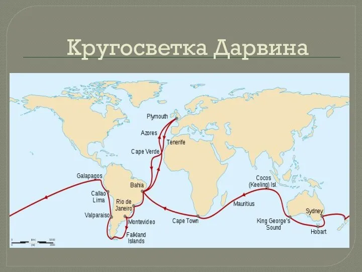 Кругосветка Дарвина