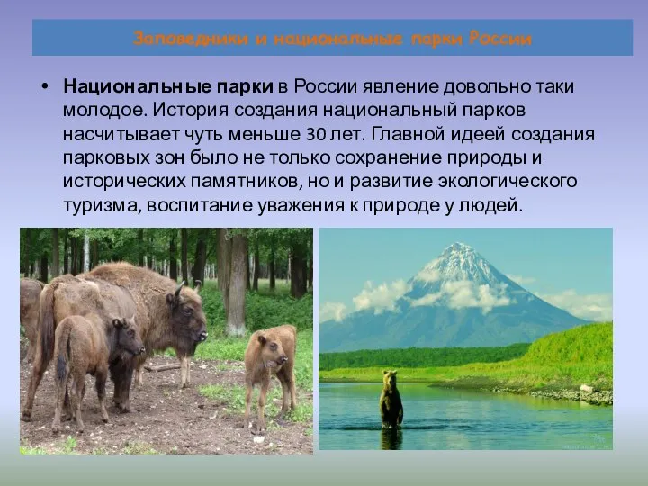 Заповедники и национальные парки России Национальные парки в России явление довольно