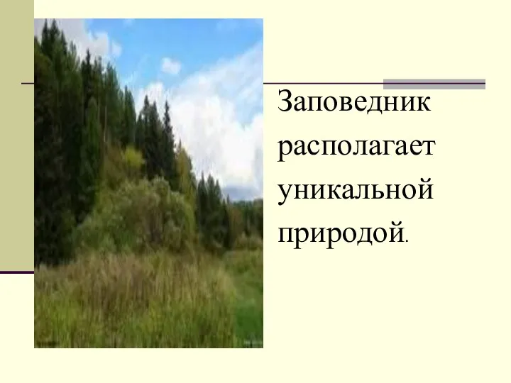 Заповедник располагает уникальной природой.