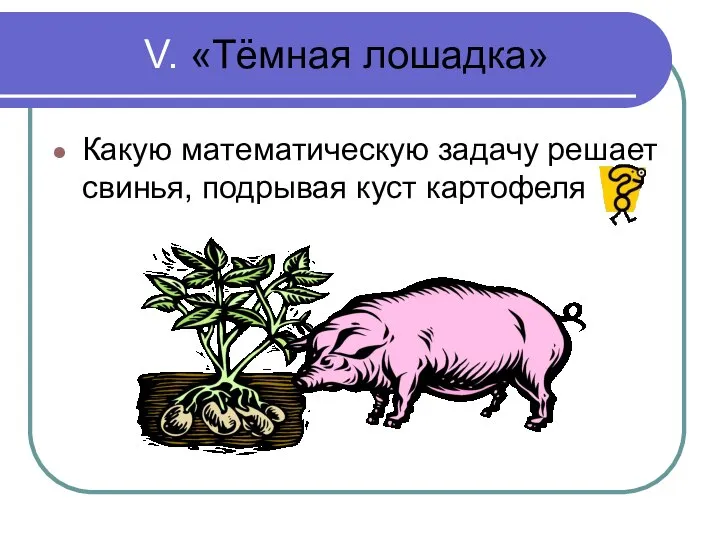 V. «Тёмная лошадка» Какую математическую задачу решает свинья, подрывая куст картофеля