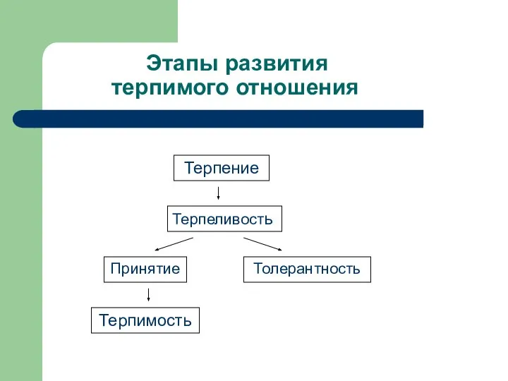 Этапы развития терпимого отношения