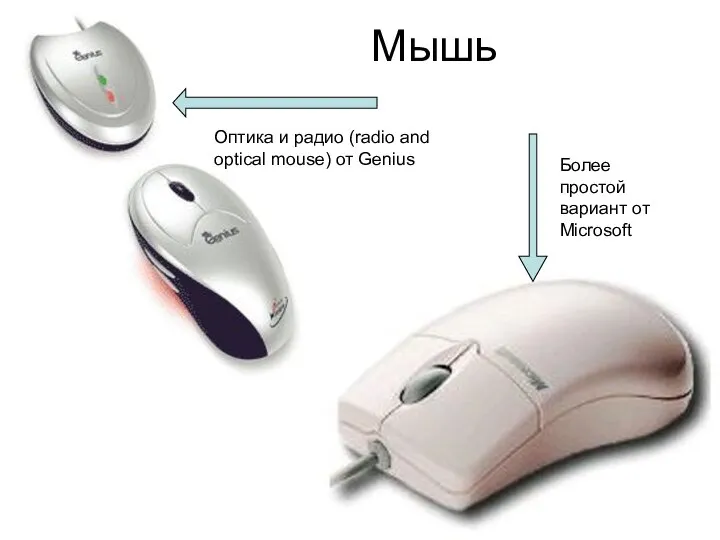 Мышь Оптика и радио (radio and optical mouse) от Genius Более простой вариант от Microsoft