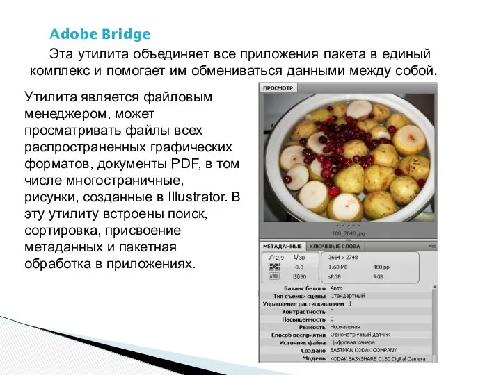 Adobe Bridge Эта утилита объединяет все приложения пакета в единый комплекс