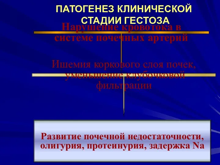 ПАТОГЕНЕЗ КЛИНИЧЕСКОЙ СТАДИИ ГЕСТОЗА Нарушение кровотока в системе почечных артерий Ишемия