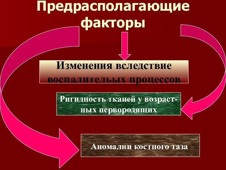 Предрасполагающие факторы Изменения вследствие воспалительых процессов Ригидность тканей у возраст- ных первородящих Аномалии костного таза