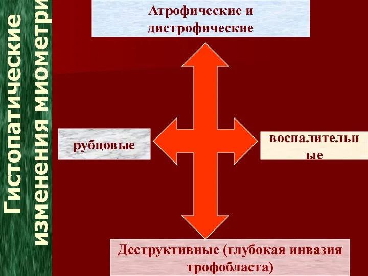 Гистопатические изменения миометрия рубцовые Атрофические и дистрофические Деструктивные (глубокая инвазия трофобласта) воспалительные