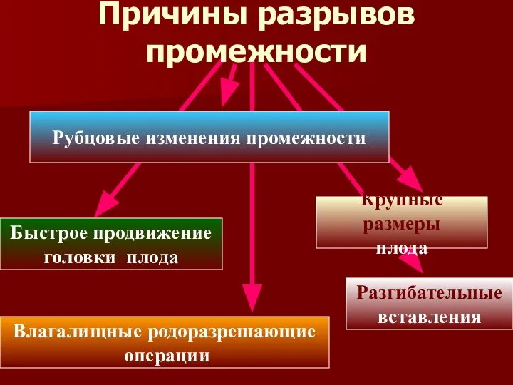 Причины разрывов промежности Рубцовые изменения промежности Быстрое продвижение головки плода Крупные