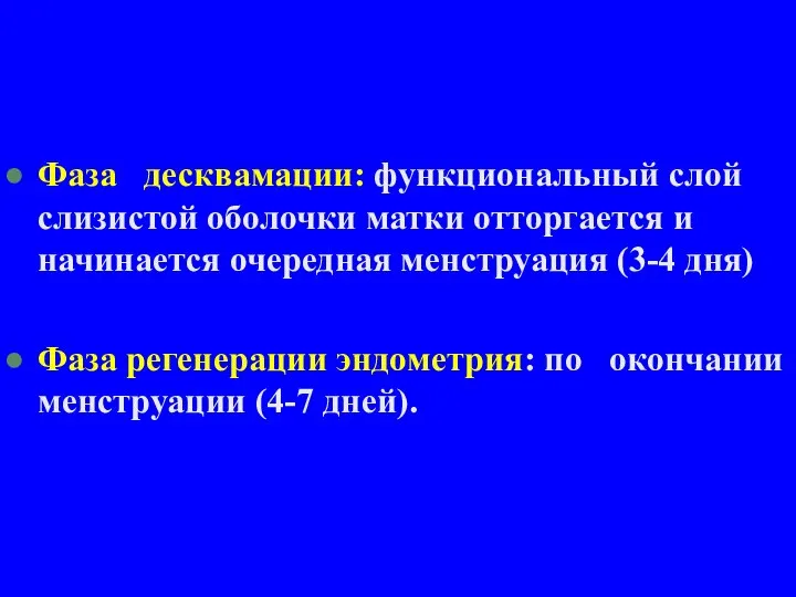 Фаза десквамации: функциональный слой слизистой оболочки матки отторгается и начинается очередная