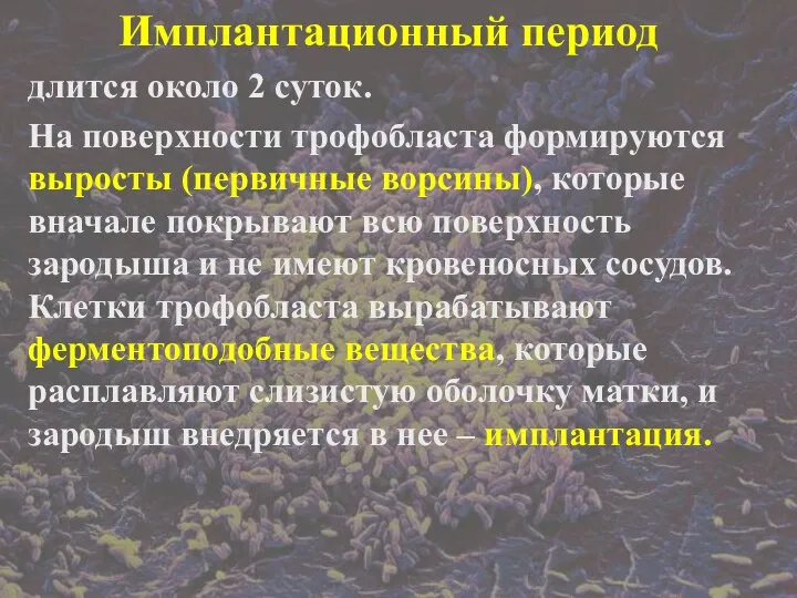 Имплантационный период длится около 2 суток. На поверхности трофобласта формируются выросты