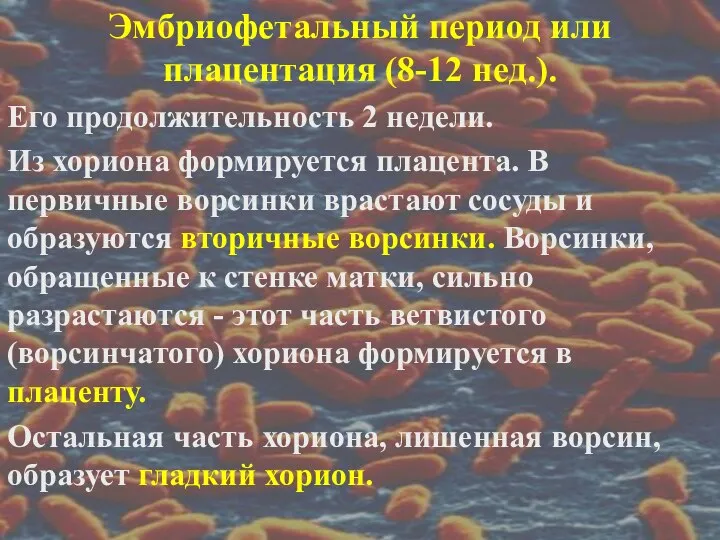 Эмбриофетальный период или плацентация (8-12 нед.). Его продолжительность 2 недели. Из