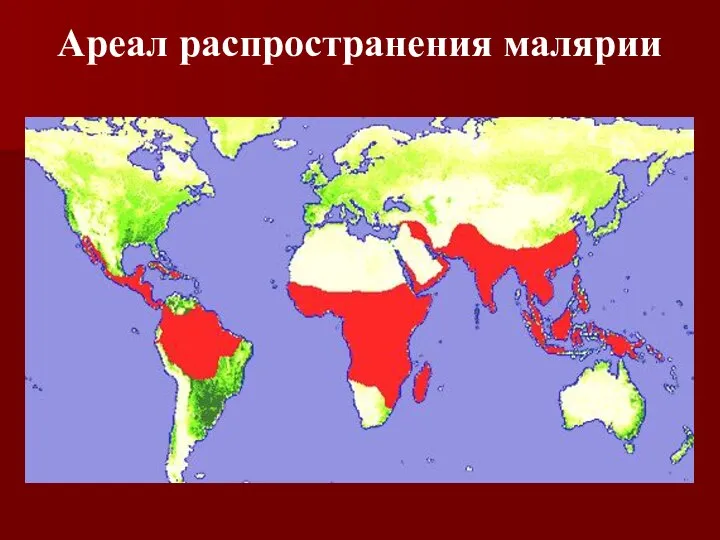 Ареал распространения малярии