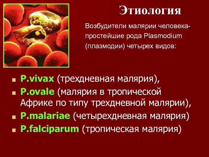 Этиология P.vivax (трехдневная малярия), P.ovale (малярия в тропической Африке по типу