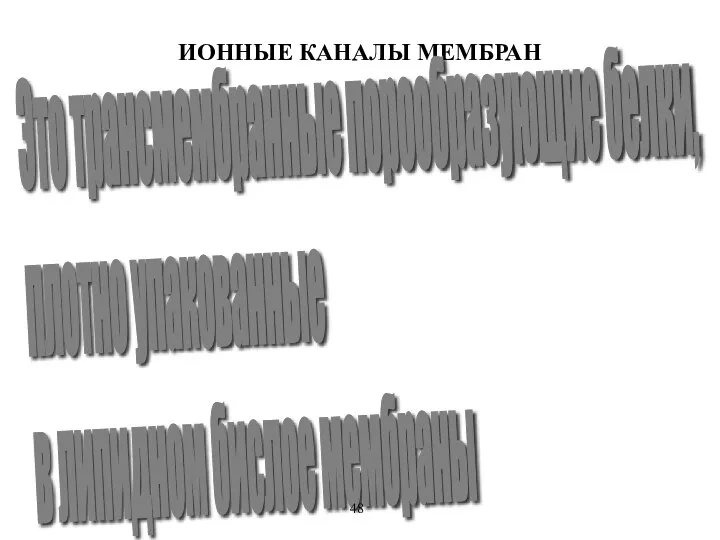 ИОННЫЕ КАНАЛЫ МЕМБРАН Это трансмембранные порообразующие белки, плотно упакованные в липидном бислое мембраны 48