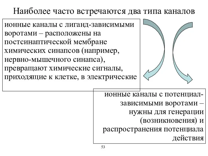 Наиболее часто встречаются два типа каналов ионные каналы с лиганд-зависимыми воротами