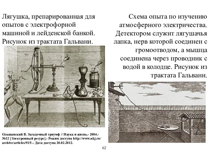 Схема опыта по изучению атмосферного электричества. Детектором служит лягушачья лапка, нерв