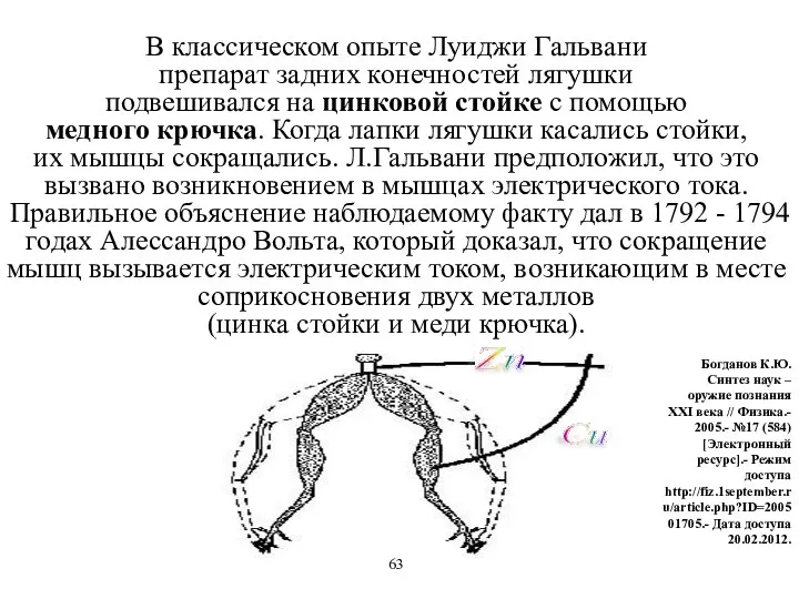 В классическом опыте Луиджи Гальвани препарат задних конечностей лягушки подвешивался на