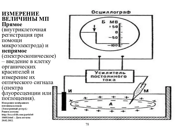 Измерения мембранного потенциала покоя [Электронный ресурс].- Режим доступа: http://bse.sci-lib.com/particle010601.html .- Дата