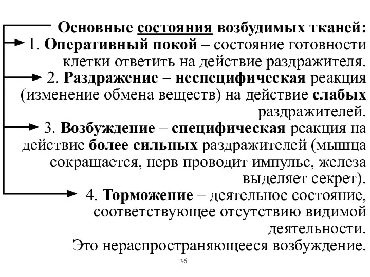 Основные состояния возбудимых тканей: 1. Оперативный покой – состояние готовности клетки