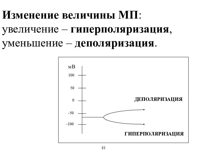 Изменение величины МП: увеличение – гиперполяризация, уменьшение – деполяризация. ДЕПОЛЯРИЗАЦИЯ ГИПЕРПОЛЯРИЗАЦИЯ 81