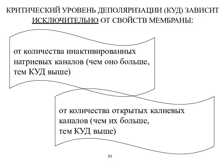 КРИТИЧЕСКИЙ УРОВЕНЬ ДЕПОЛЯРИЗАЦИИ (КУД) ЗАВИСИТ ИСКЛЮЧИТЕЛЬНО ОТ СВОЙСТВ МЕМБРАНЫ: от количества