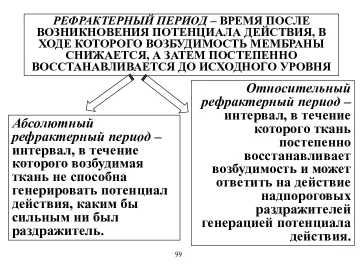 РЕФРАКТЕРНЫЙ ПЕРИОД – ВРЕМЯ ПОСЛЕ ВОЗНИКНОВЕНИЯ ПОТЕНЦИАЛА ДЕЙСТВИЯ, В ХОДЕ КОТОРОГО