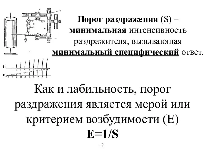 Порог раздражения (S) – минимальная интенсивность раздражителя, вызывающая минимальный специфический ответ.