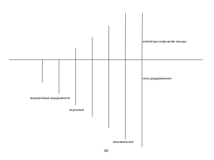 амплитуда сокращения мышцы пороговый подпороговые раздражители сила раздражителей максимальный 40