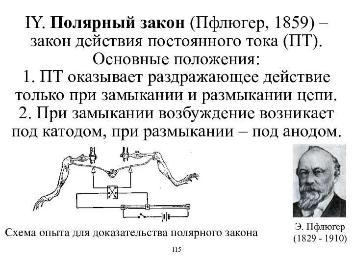 IY. Полярный закон (Пфлюгер, 1859) – закон действия постоянного тока (ПТ).