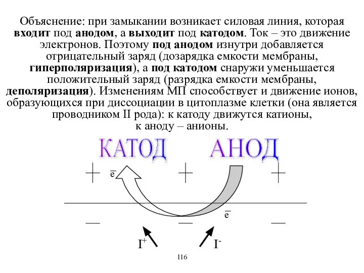 Объяснение: при замыкании возникает силовая линия, которая входит под анодом, а