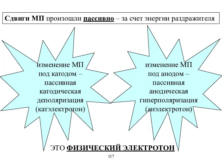 Сдвиги МП произошли пассивно – за счет энергии раздражителя изменение МП