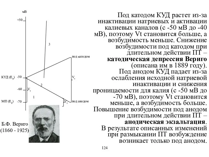 Под катодом КУД растет из-за инактивации натриевых и активации калиевых каналов