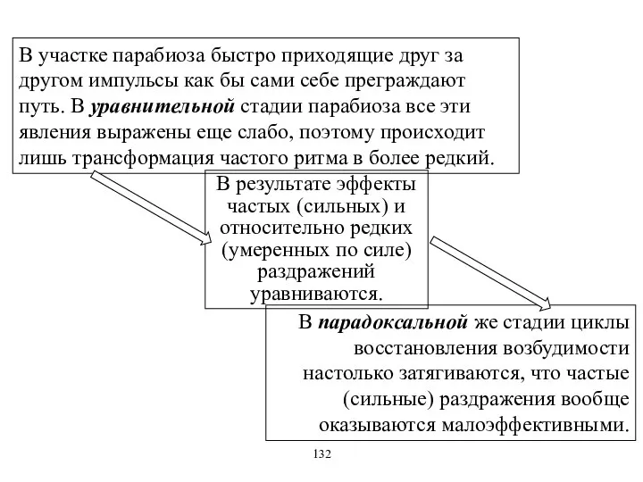 В участке парабиоза быстро приходящие друг за другом импульсы как бы