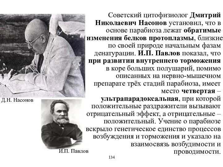 Советский цитофизиолог Дмитрий Николаевич Насонов установил, что в основе парабиоза лежат