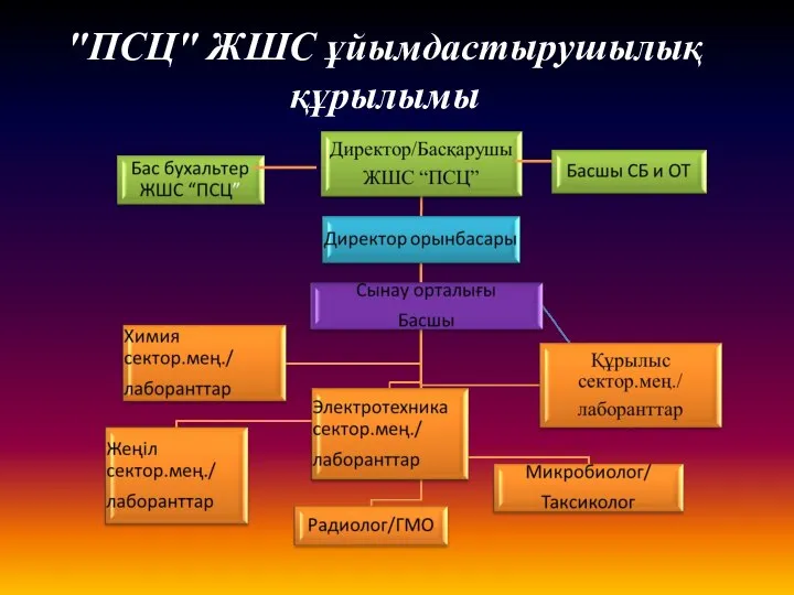 "ПСЦ" ЖШС ұйымдастырушылық құрылымы