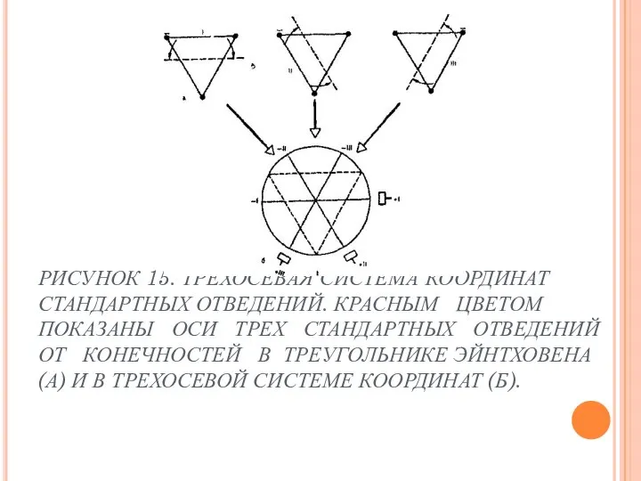 РИСУНОК 15. ТРЕХОСЕВАЯ СИСТЕМА КООРДИНАТ СТАНДАРТНЫХ ОТВЕДЕНИЙ. КРАСНЫМ ЦВЕТОМ ПОКАЗАНЫ ОСИ