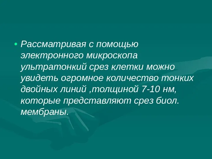 Рассматривая с помощью электронного микроскопа ультратонкий срез клетки можно увидеть огромное