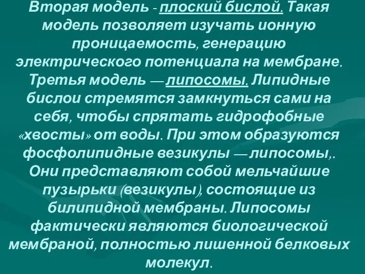 Вторая модель - плоский бислой. Такая модель позволяет изучать ионную проницае­мость,