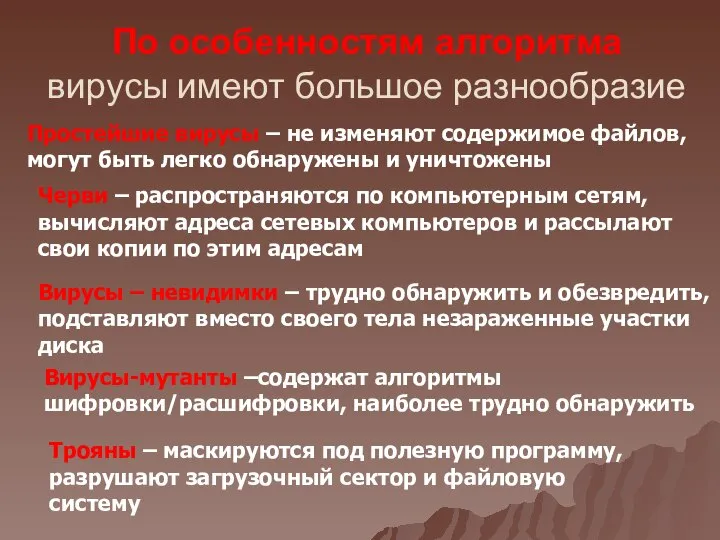 По особенностям алгоритма вирусы имеют большое разнообразие Простейшие вирусы – не