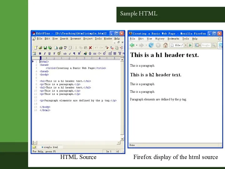 Sample HTML HTML Source Firefox display of the html source