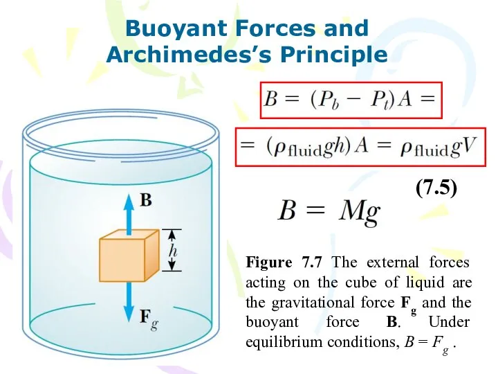 Buoyant Forces and Archimedes’s Principle Figure 7.7 The external forces acting