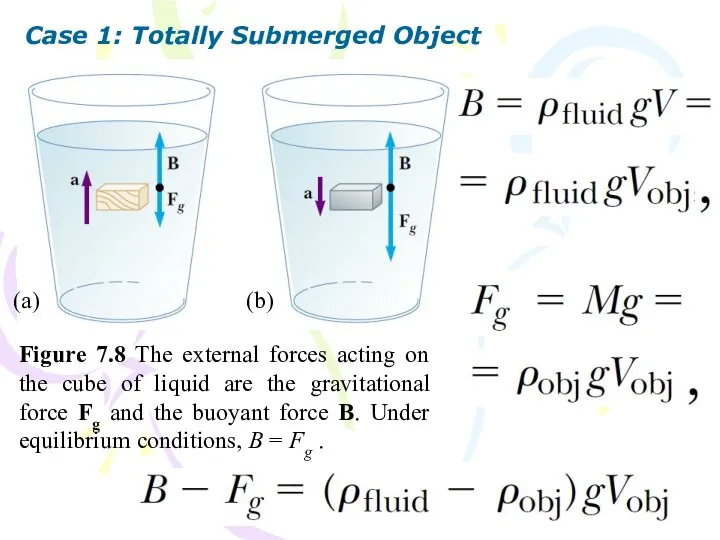 Case 1: Totally Submerged Object Figure 7.8 The external forces acting