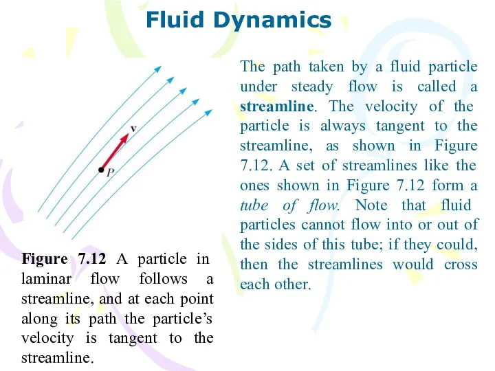 The path taken by a fluid particle under steady flow is