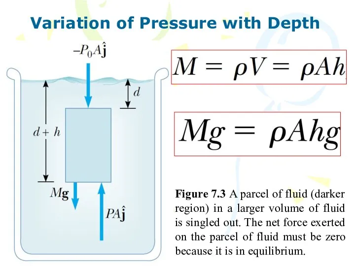 Variation of Pressure with Depth Figure 7.3 A parcel of fluid