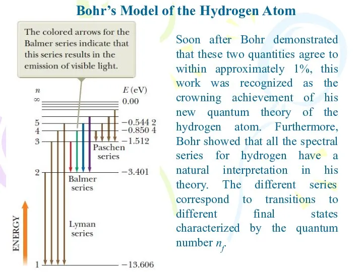 Bohr’s Model of the Hydrogen Atom Soon after Bohr demonstrated that