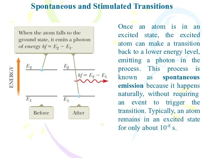 Spontaneous and Stimulated Transitions Once an atom is in an excited