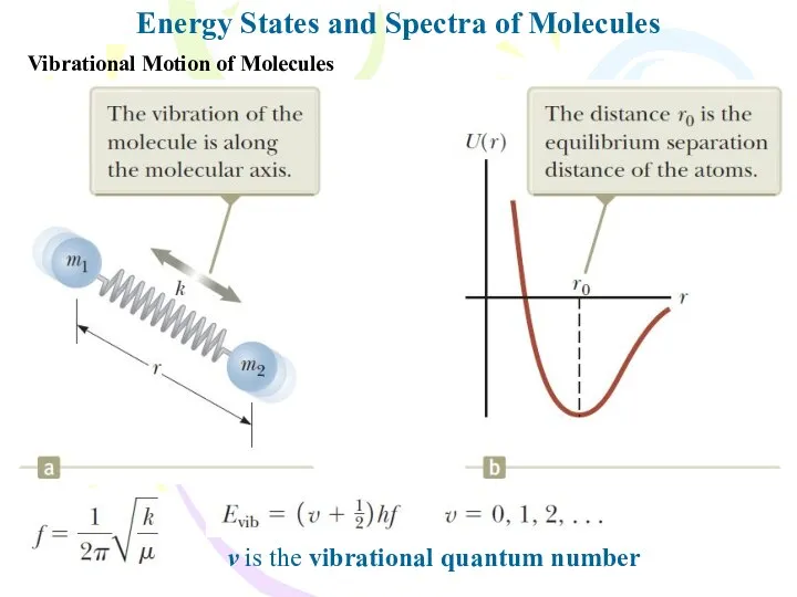 Energy States and Spectra of Molecules Vibrational Motion of Molecules v is the vibrational quantum number