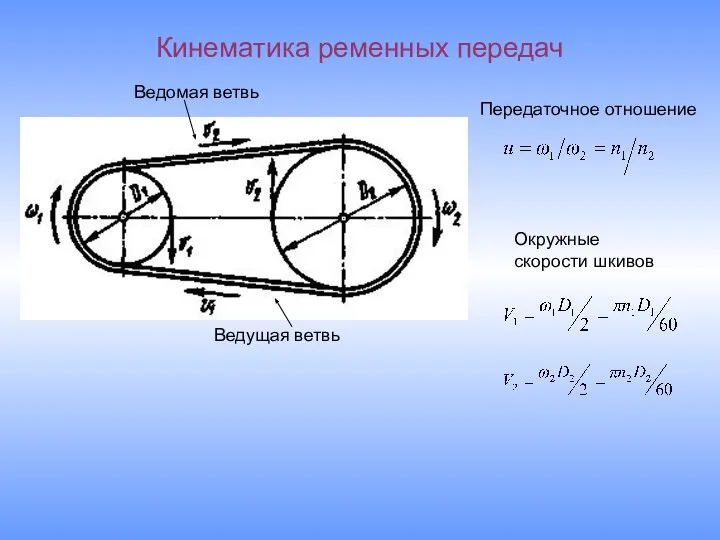 Кинематика ременных передач Ведущая ветвь Ведомая ветвь Окружные скорости шкивов Передаточное отношение